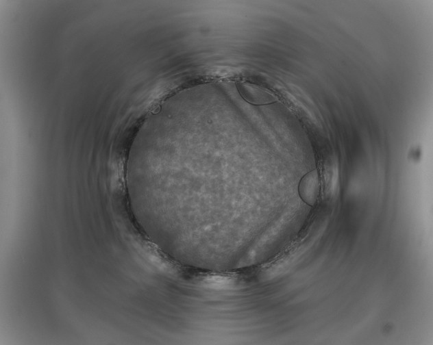 X0000097610236200803071456