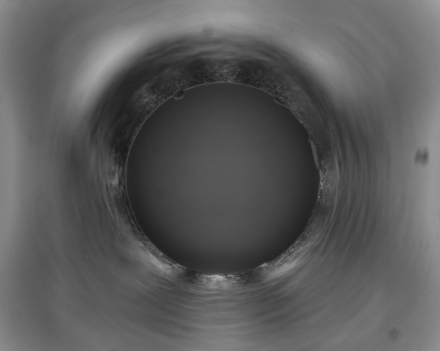 X0000097610239200803071456