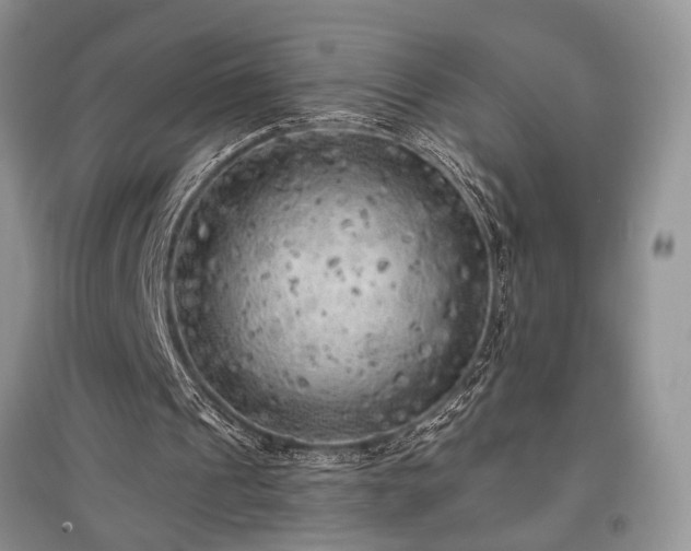 X0000097610241200803071455