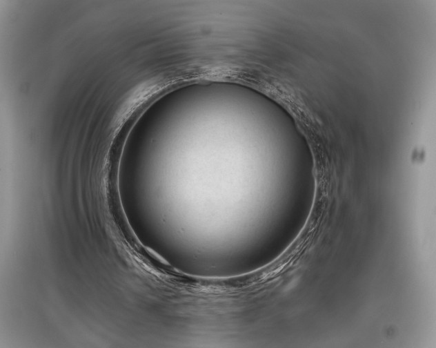 X0000097610242200803071455