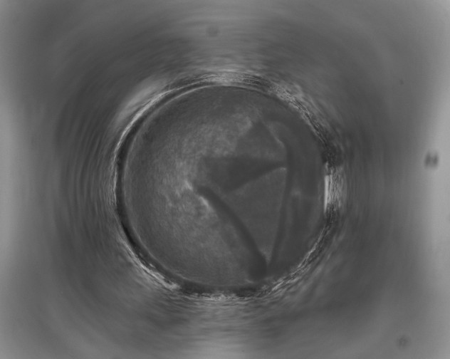 X0000097610243200803071455