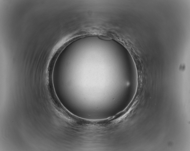 X0000097610246200803071455