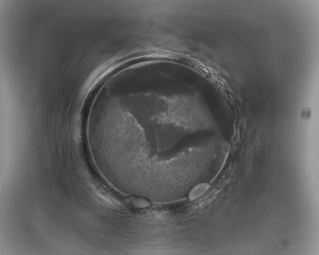 X0000097610247200803071455