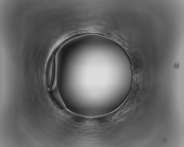 X0000097610248200803071455