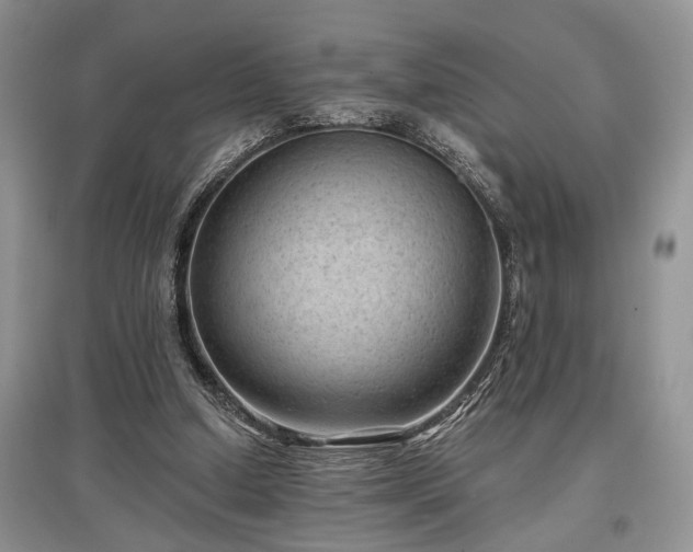 X0000097610250200803071455