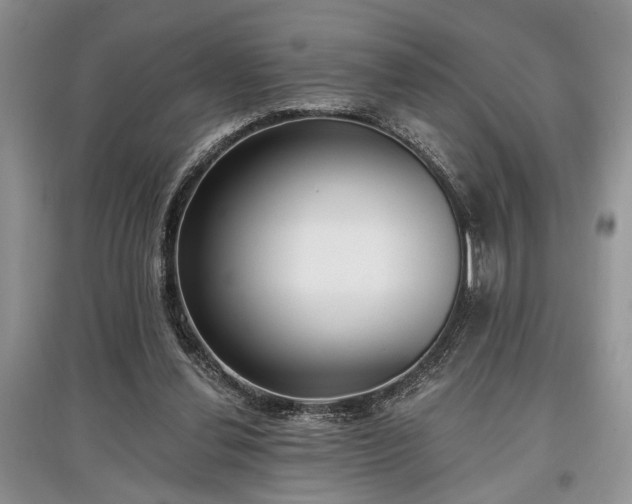 X0000097610252200803071455