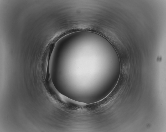 X0000097610256200803071455