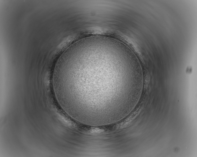 X0000097610257200803071455