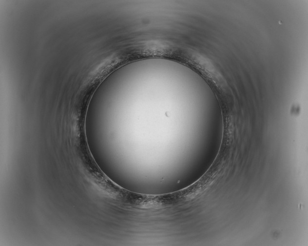 X0000097610258200803071455