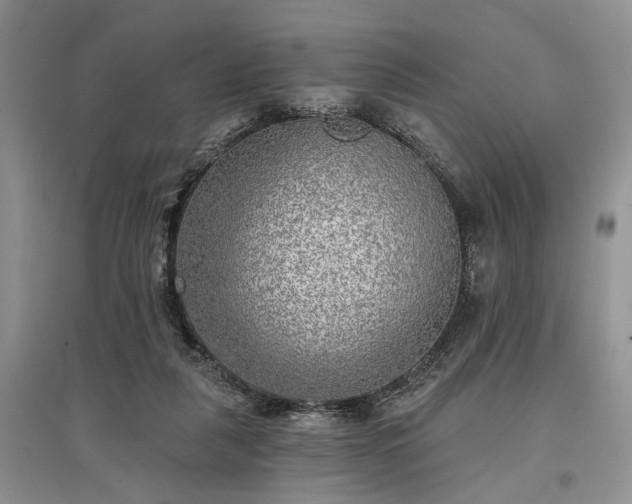 X0000097610259200803071455