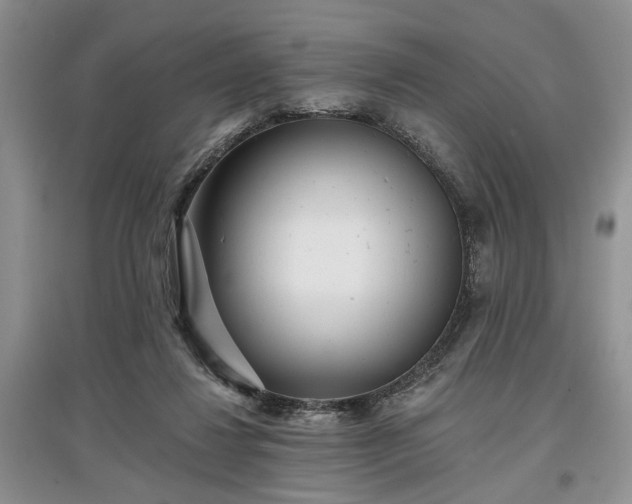 X0000097610260200803071455