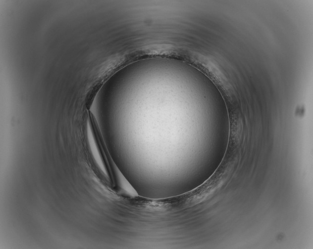 X0000097610261200803071455
