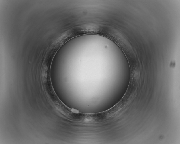 X0000097610264200803071455