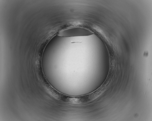 X0000097610265200803071455