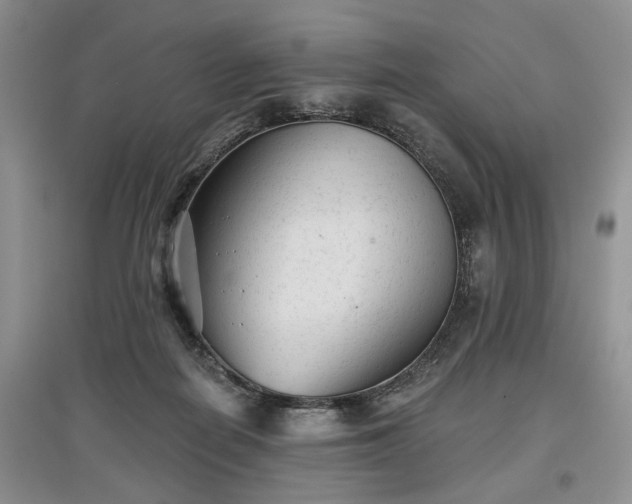 X0000097610266200803071455