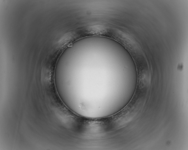 X0000097610268200803071455