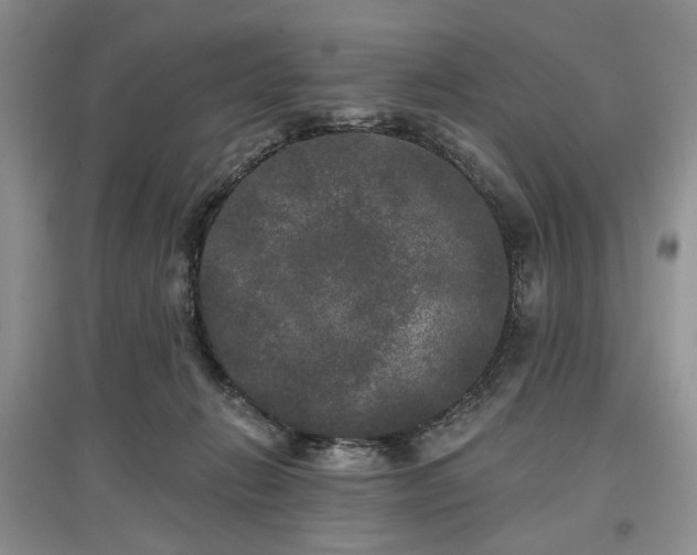 X0000097610270200803071455