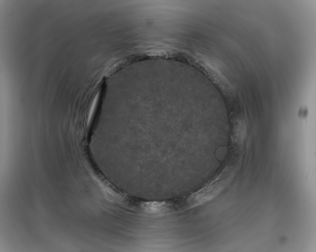 X0000097610273200803071455