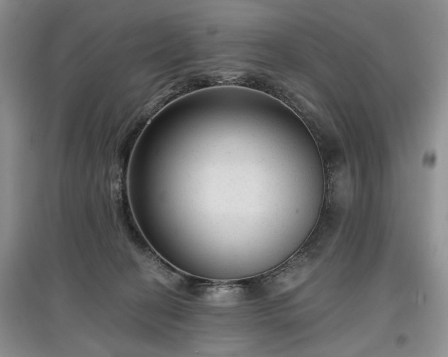 X0000097610274200803071455