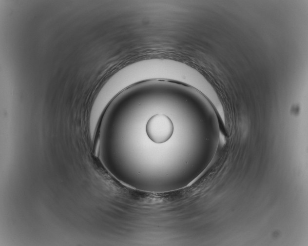 X0000097610276200803071455