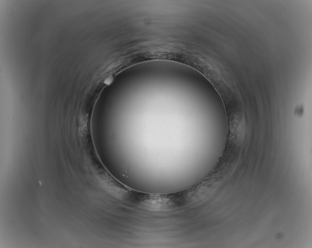 X0000097610278200803071455