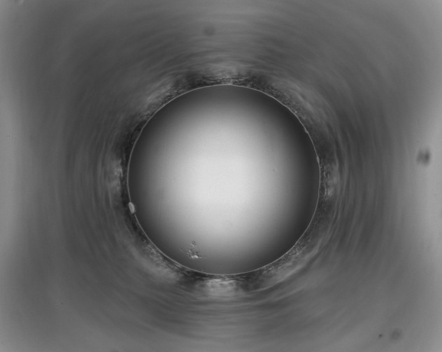 X0000097610279200803071455