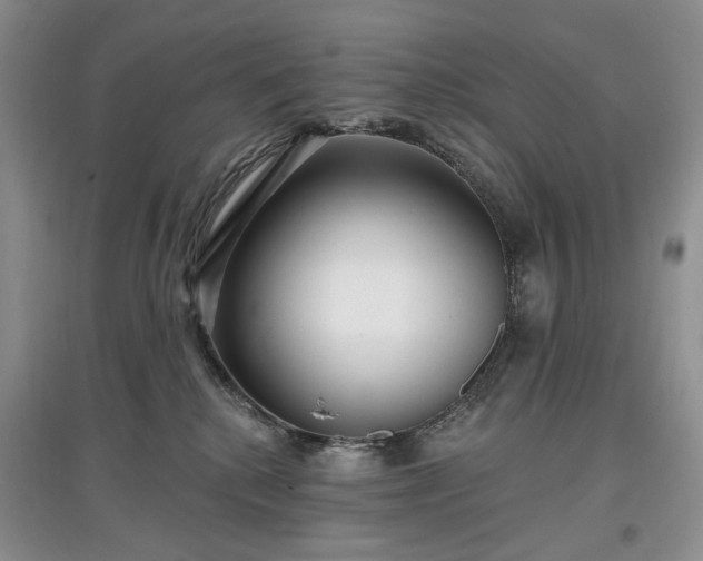 X0000097610280200803071456