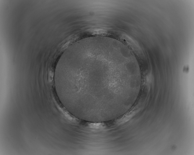 X0000097610281200803071456