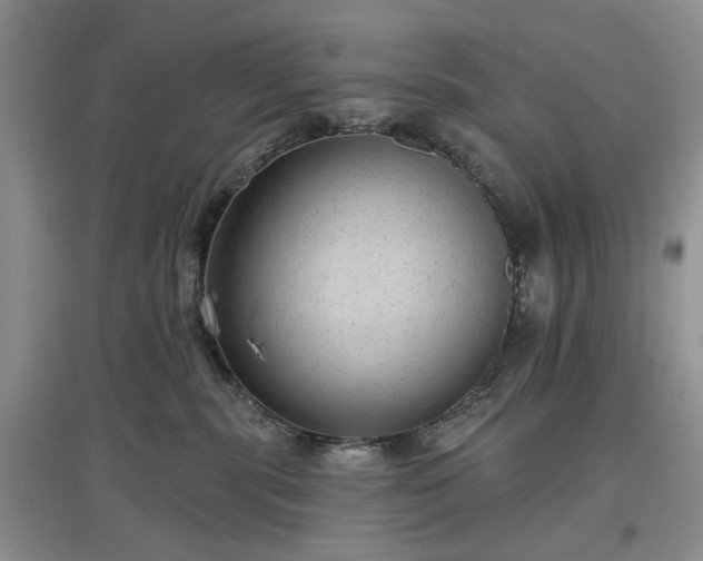 X0000097610283200803071456