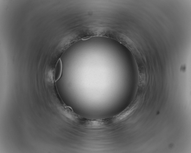 X0000097610286200803071456