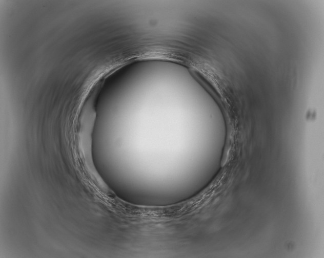 X0000097610289200803071455