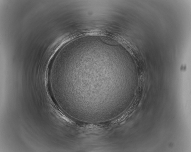 X0000097610290200803071455