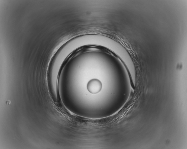 X0000097610292200803071455