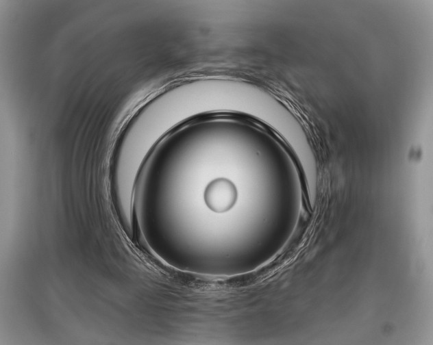 X0000097610293200803071455