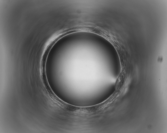 X0000097610294200803071455