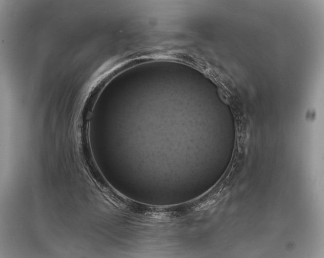 X0000097610295200803071455