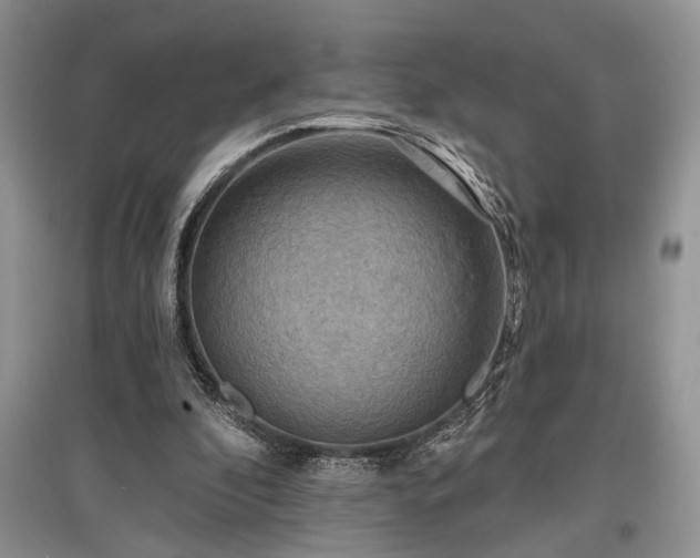 X0000097610296200803071455