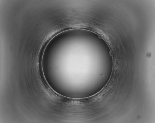 X0000097610298200803071455
