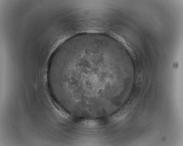 X0000097610299200803071455