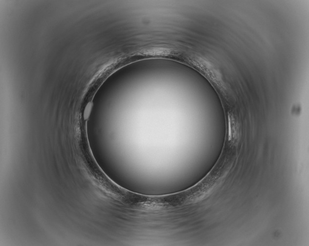 X0000097610300200803071455