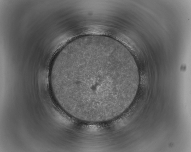 X0000097610302200803071455