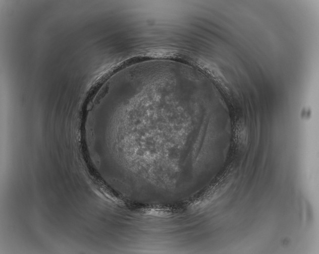X0000097610303200803071455