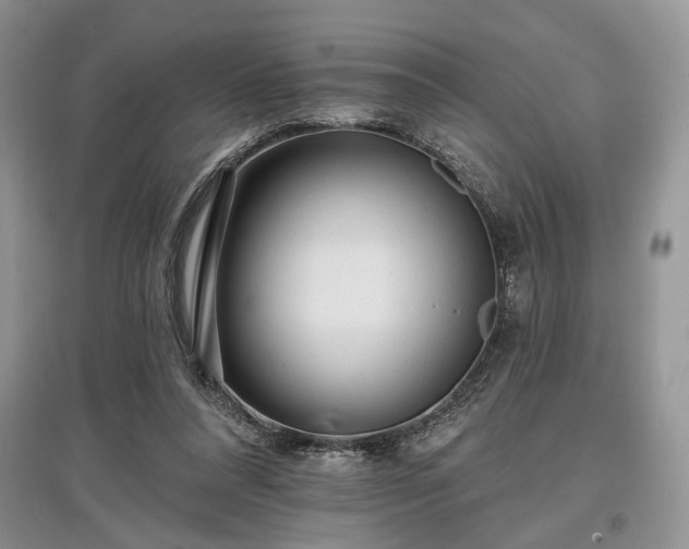 X0000097610304200803071455