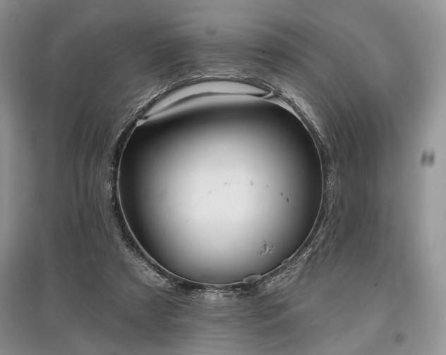 X0000097610305200803071455