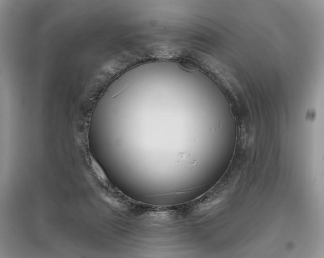 X0000097610307200803071455