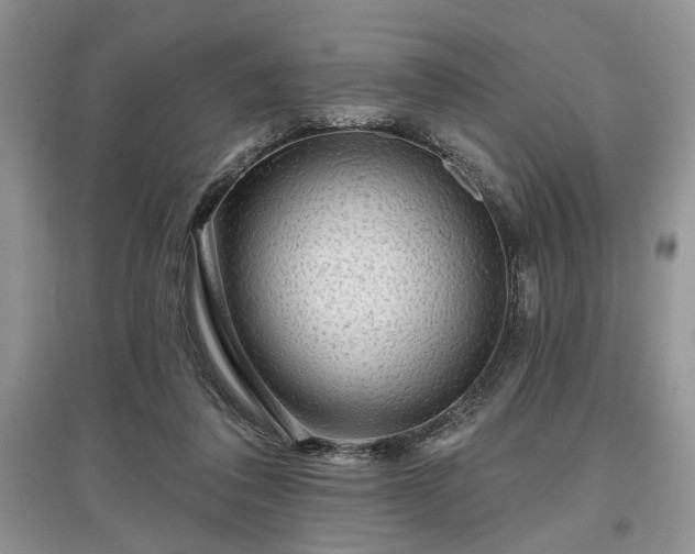 X0000097610308200803071455