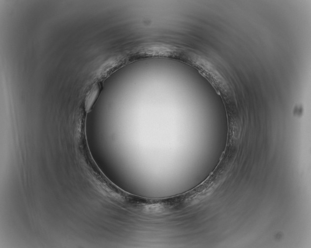 X0000097610309200803071455