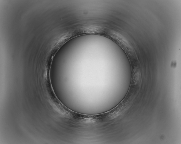 X0000097610310200803071455