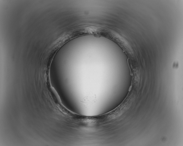 X0000097610313200803071455
