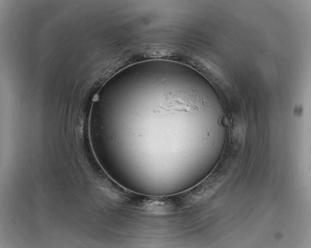 X0000097610315200803071455
